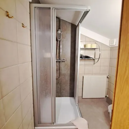 Апартаменты Gesa's & Tom's Stadtappartement Зальфельден